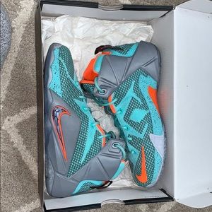 Lebron 12 Youth shoes